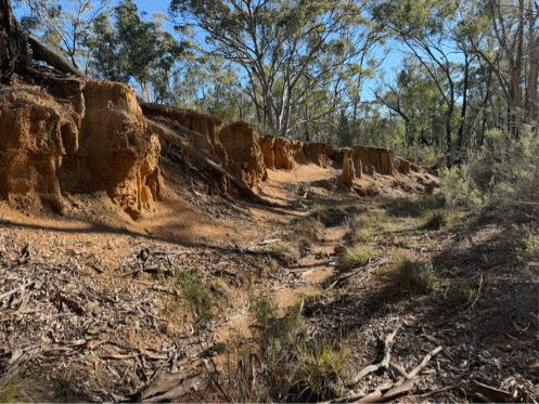 Gulgaba Gullies