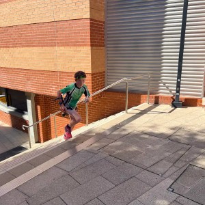 IMG 7517